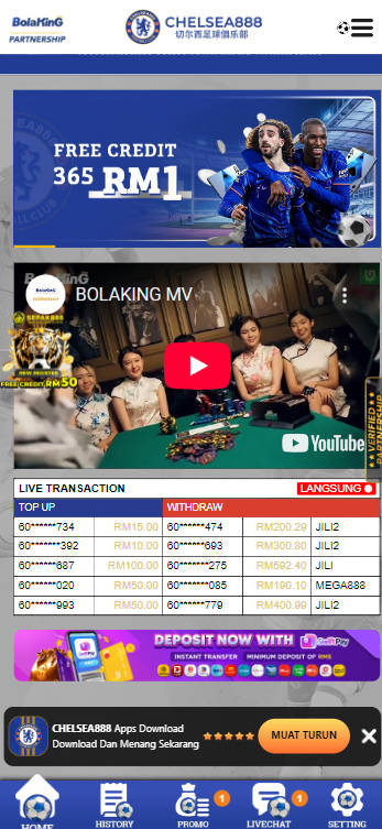 Chelsea888 - Homepage - alibaba668