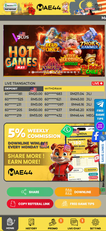 MAE44 - Homepage - alibaba668